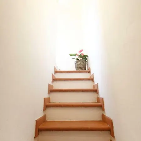 Fiesse Holiday home *